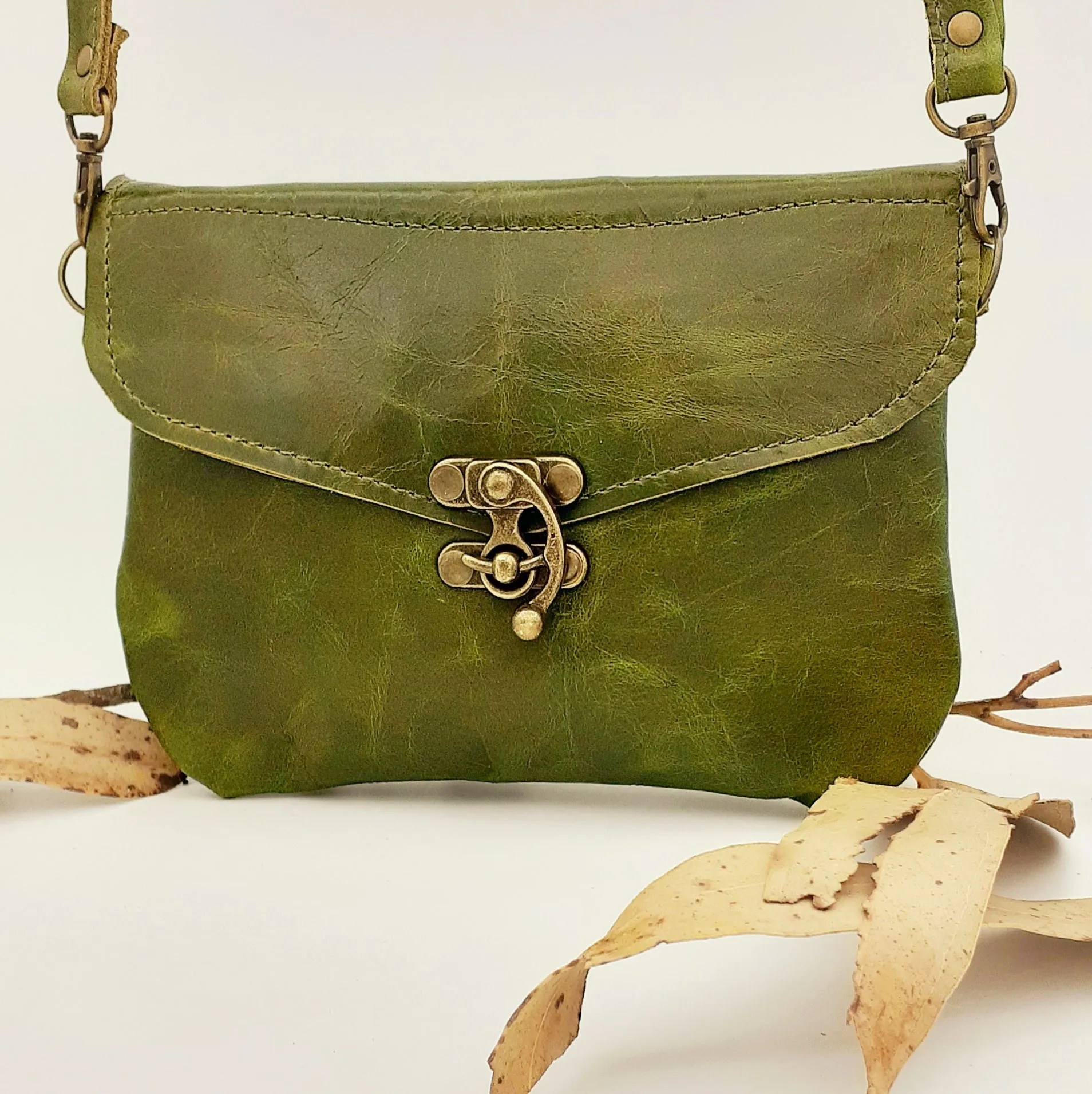 Leather Brass Clasp Bag