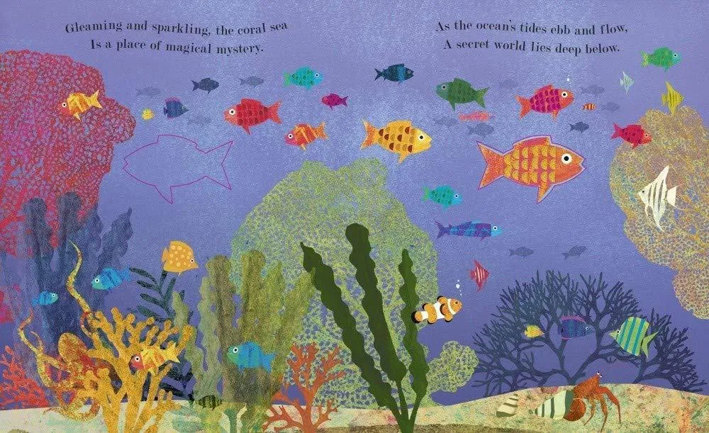 Ocean: A Peek-Through Picture Book