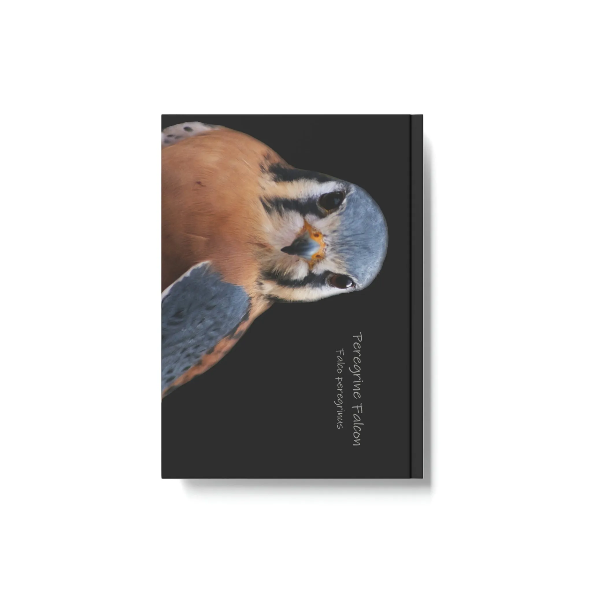 Peregrine Falcon Hard Backed Journal