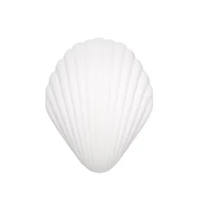 Shell Massager